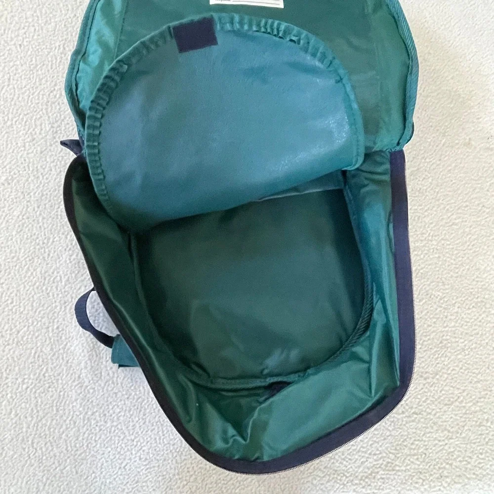 12x12x4 Pyrex Portable Way To‎ Go Insulated Hot Cold Carrier Handles Bag Only